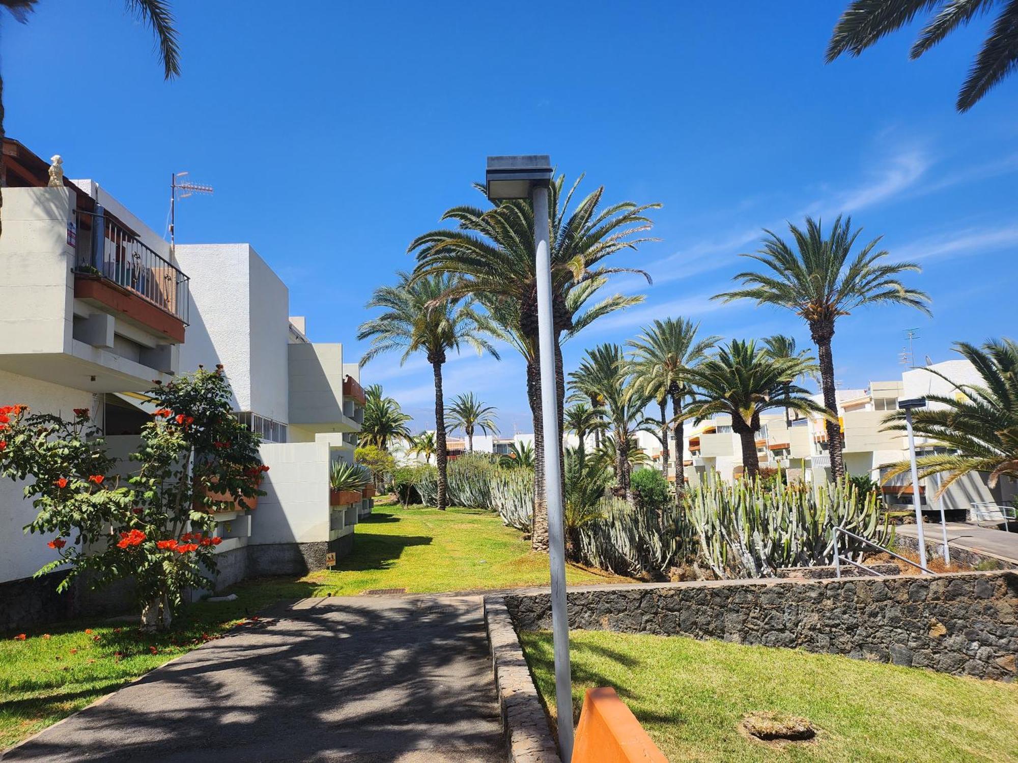 Tenerife Sunshine South Apartment Beach By La Ballena 아로나 외부 사진