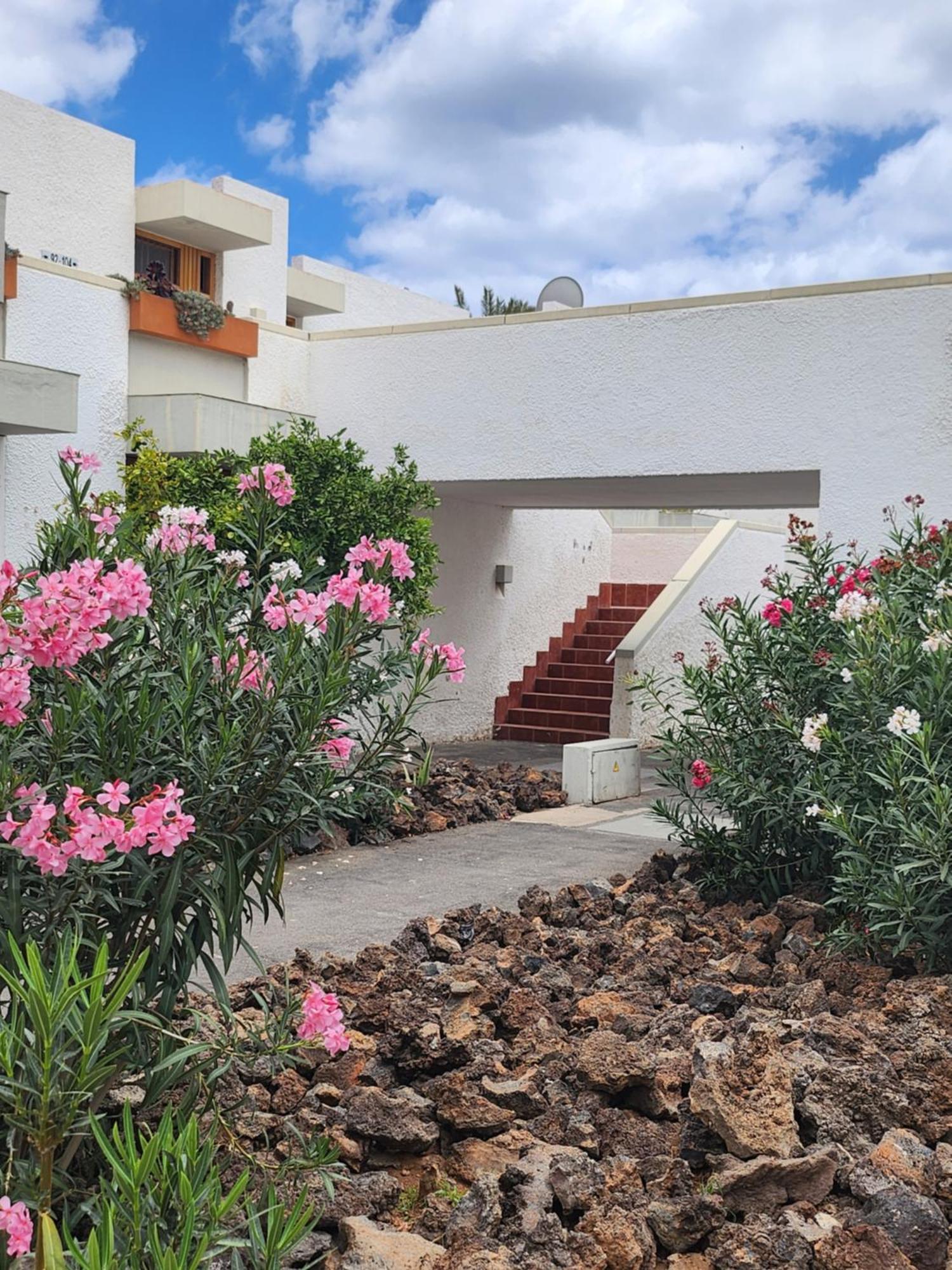 Tenerife Sunshine South Apartment Beach By La Ballena 아로나 외부 사진