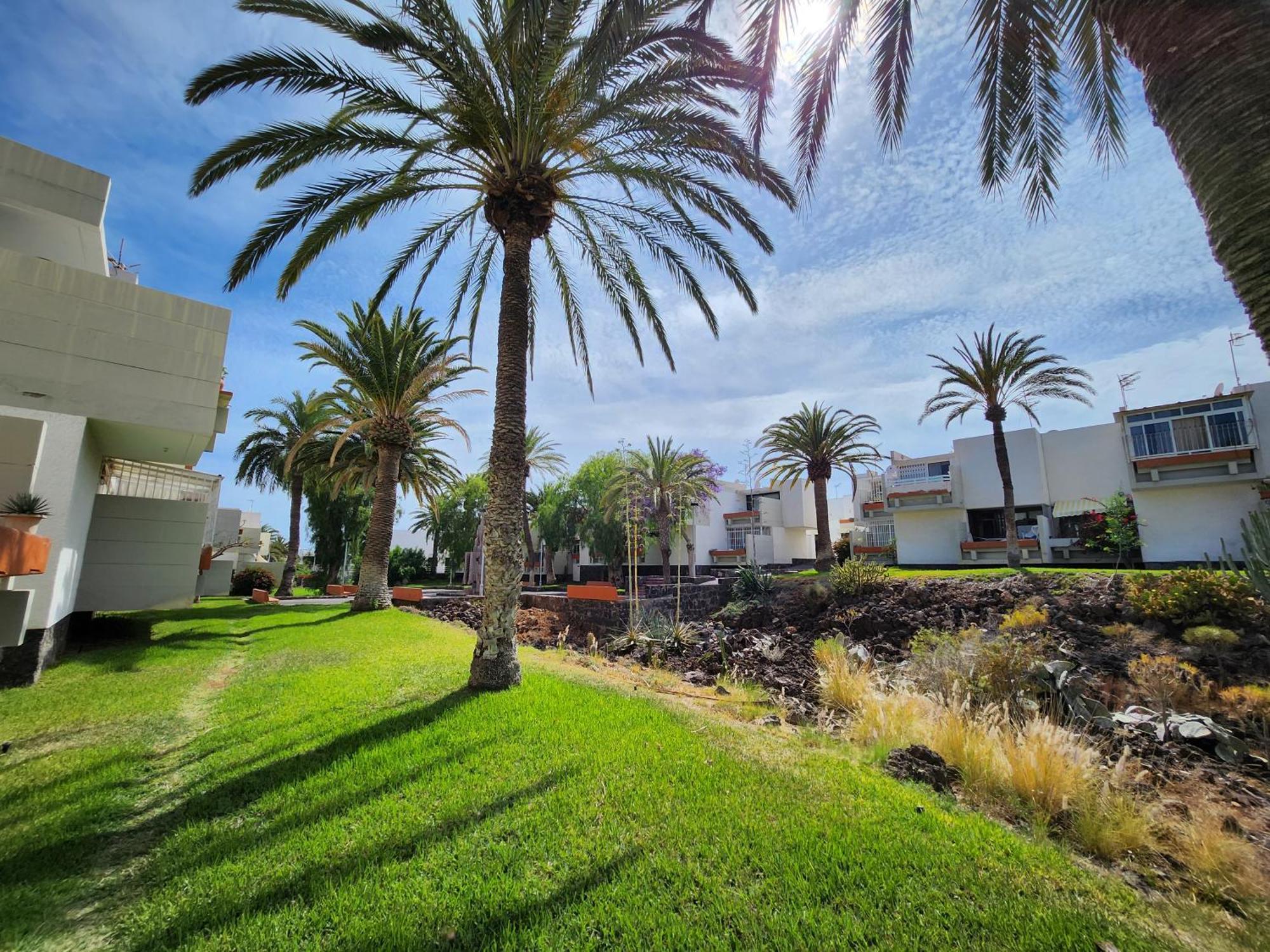 Tenerife Sunshine South Apartment Beach By La Ballena 아로나 외부 사진
