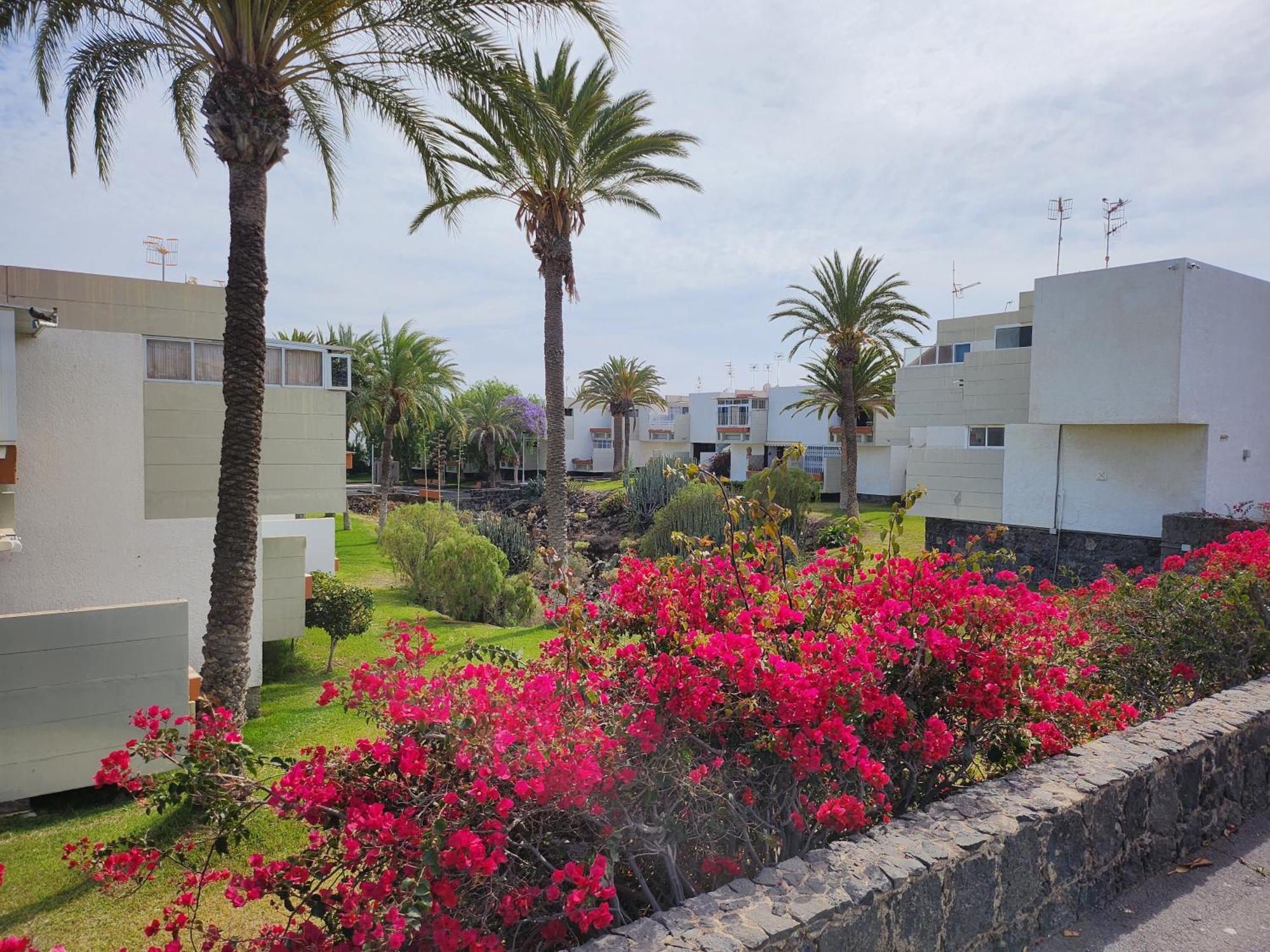 Tenerife Sunshine South Apartment Beach By La Ballena 아로나 외부 사진